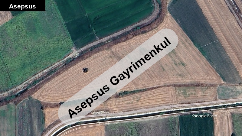 muradi̇yede satilik kanala sifir 19875 m2 arazi̇