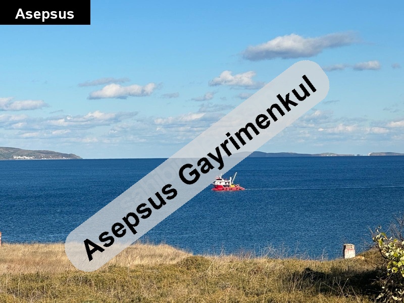 ERDEK’TE DENİZE 300m MANZARALI HİSSELİ ARSA | HOBİ BAHÇESİNE UYGUN | ACİL SATILIK