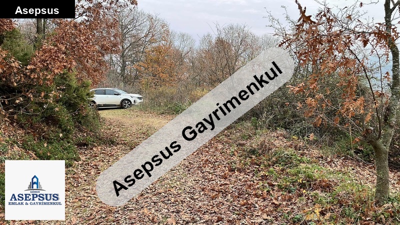 Asepsus Emlak'tan 3+1 yukarıinova köyü 'sinde satılık arsa
