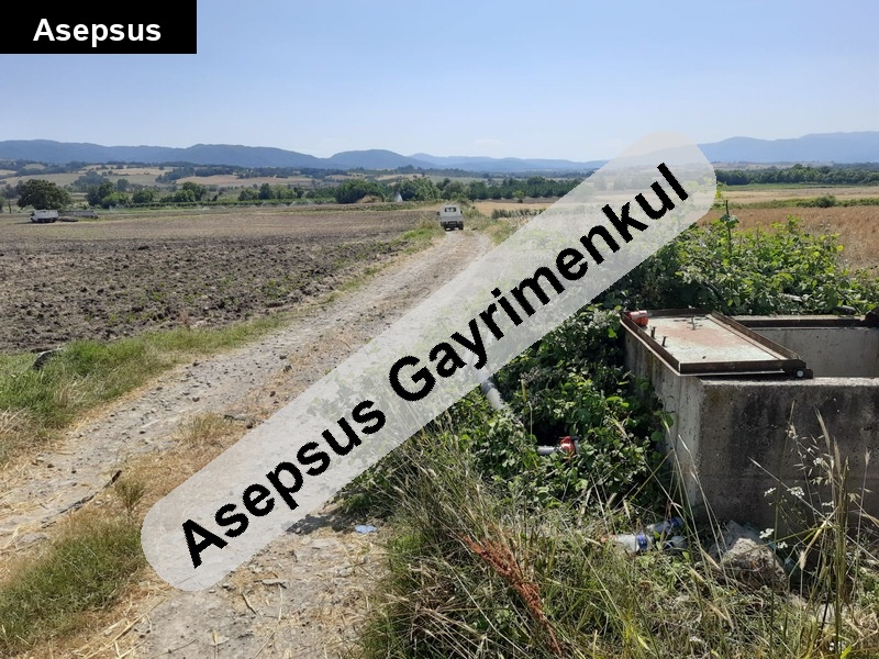 Gönen Tütüncü’de 7 Dönüm Düz ve Sulu Satılık Tarla 7.087 m2