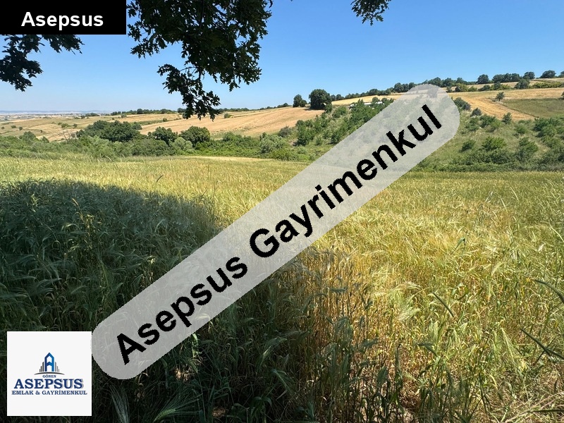 Asepsus Emlak'tan 3+1 şirinköy köyü 'sinde satılık arsa