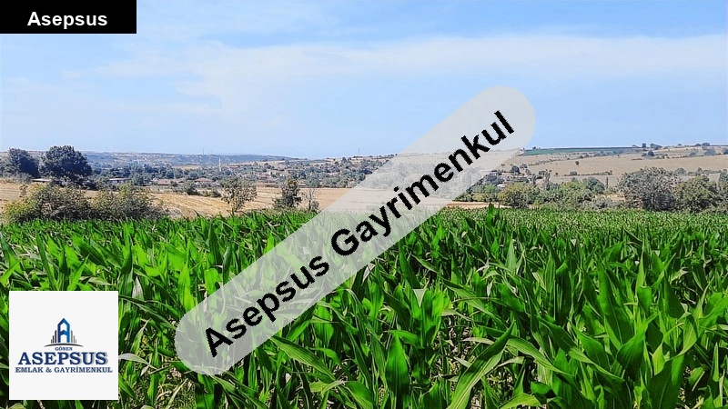 Asepsus Emlak'tan 3+1 hacıpehlivan köyü 'sinde satılık arsa