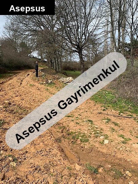 Balıkesir Balya Doğanlar'da Köy İçi Satılık Arsa