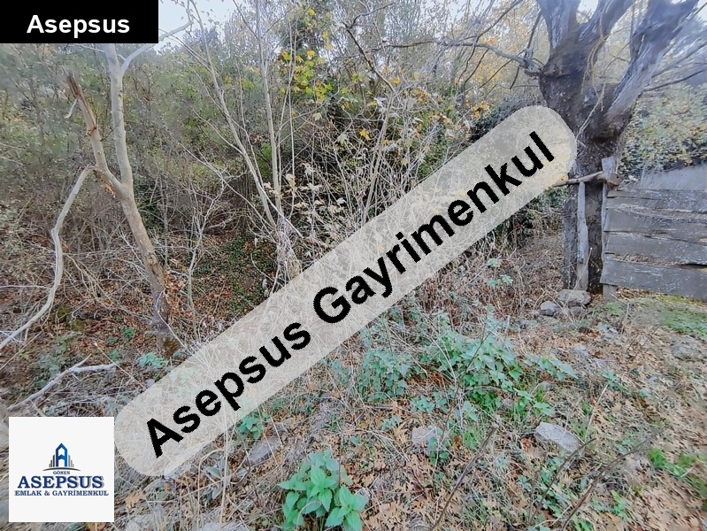 Asepsus Emlak'tan 3+1 taban köyü 'sinde satılık arsa