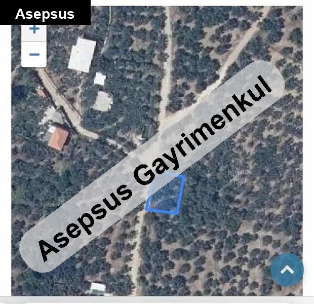 Atatürk Mah. Yola Sıfır Zeytinlik – Harika Manzaralı Bahçe