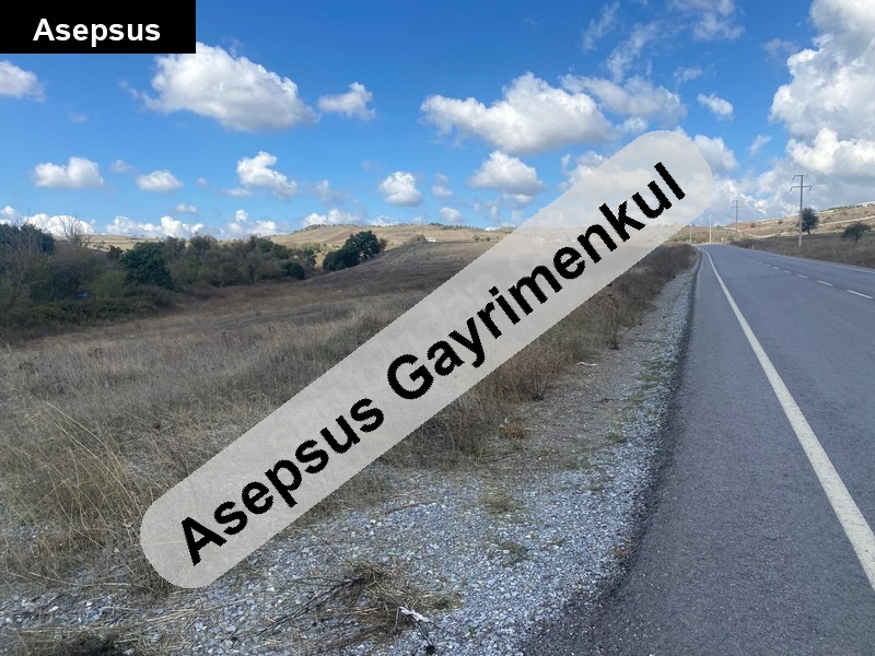 ELEKTRİK & SU PROBLEMİ OLMAYAN YOLA CEPHELİ TARLA Balıkesir / Karesi / Ortaca Mh. | Merkeze 12 km