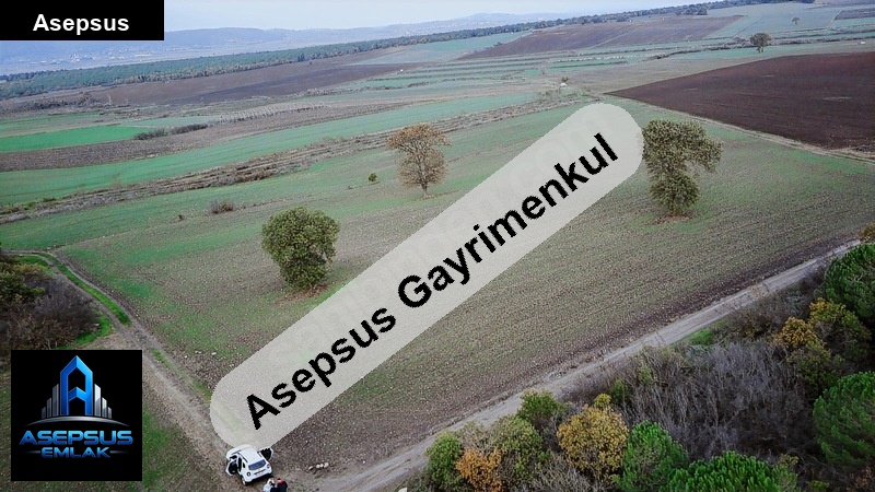Asepsus Emlak'tan  osmanpazar mh. 'sinde satılık arsa