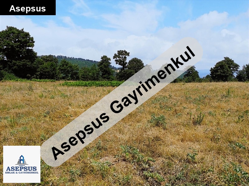 Asepsus Emlak'tan 3+1 ballıçay köyü 'sinde satılık arsa