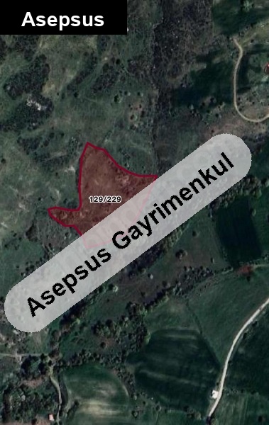 KALAYCILAR'DA DEV YATIRIM FIRSATI – 9.786 m² TEK TAPU TARLA