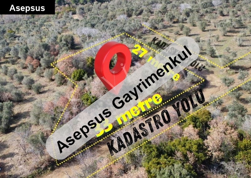 BANDIRMA DEDEOBA’DA KÖŞE PARSEL 746 m² ZEYTİNLİK