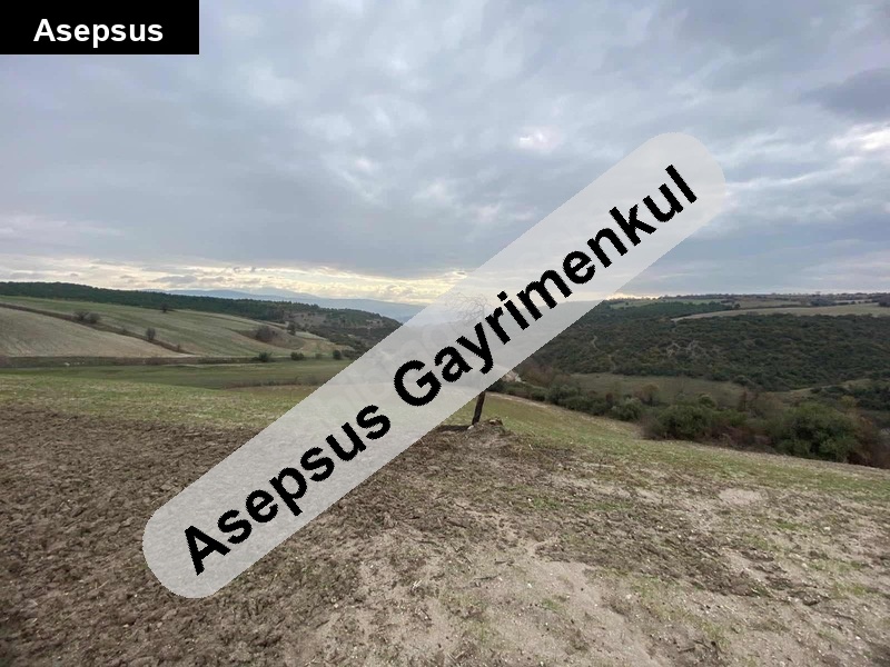 Susurluk Günaydın’da 12 Dönüm Yatırımlık Tarla | Yolu & Çeşmesi Var | Takasa Uygun