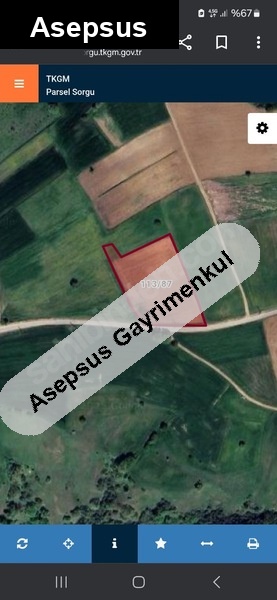 Balıkesir Karesi Kurtdere Köyü 7.866 m² Yola Sıfır Tarla