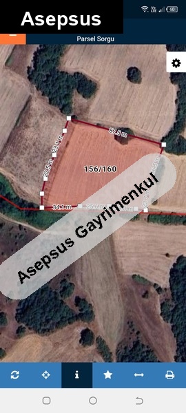 Susurluk Karapürçek’te 6 Dönüm Hisseli Tarla – Tarıma Uygun