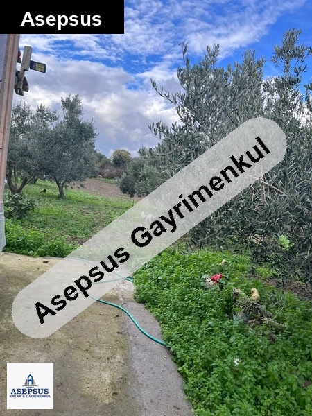 Asepsus Emlak'tan 3+1 güvemalan köyü 'sinde satılık arsa