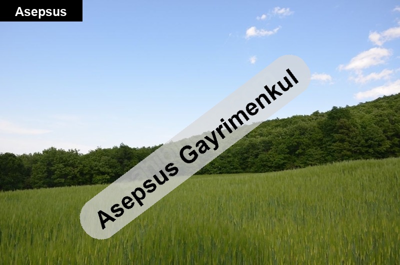 11.500 m² Acil İhtiyaçtan Satılık Müthiş Manzaralı Arazi Balıkesir / Gönen / Ömerler Mh.