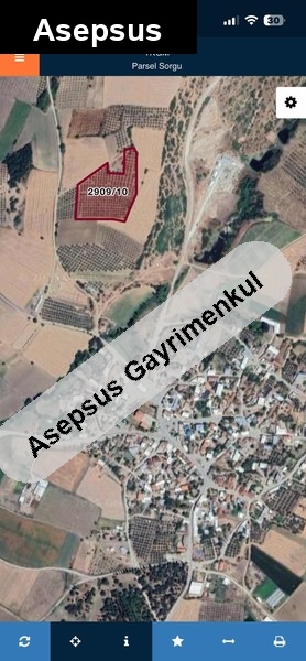 15.484 m² Satılık Zeytinlik - Yeniyenice Mh., Bandırma