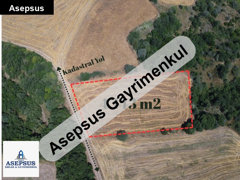 Asepsus Emlak'tan 3+1 şirinköy köyü 'sinde satılık arsa