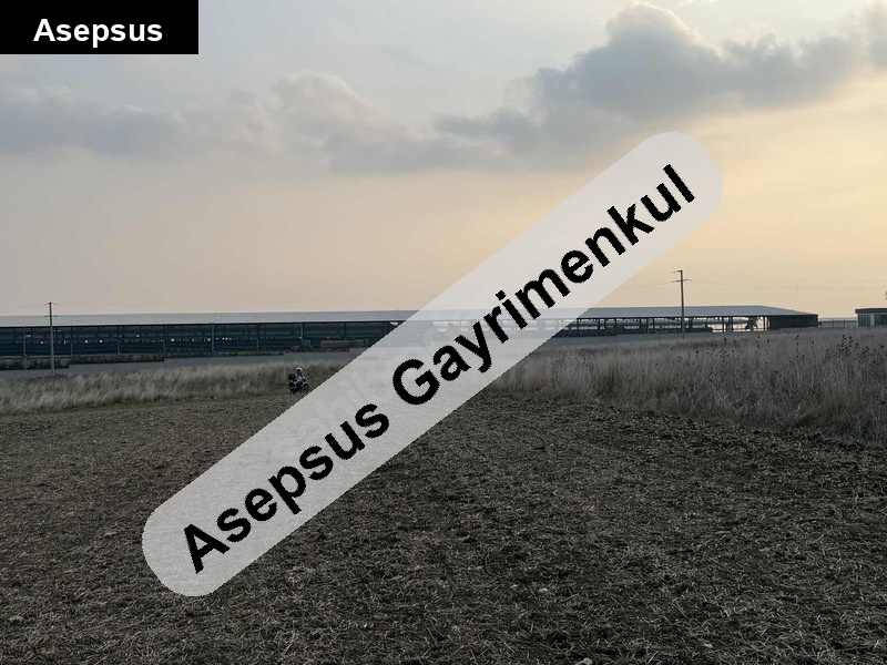 2.460 m2 Bandırma Erikli Satılık tarla