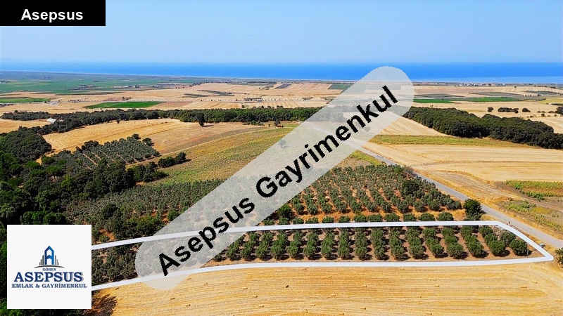 Asepsus Emlak'tan 3+1 kepekli köyü 'sinde satılık arsa