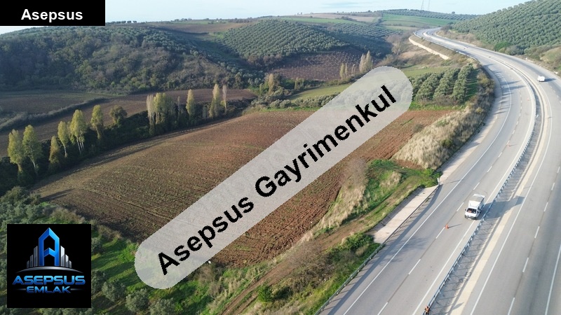 Asepsus Emlak'tan  havutça mh. 'sinde satılık arsa