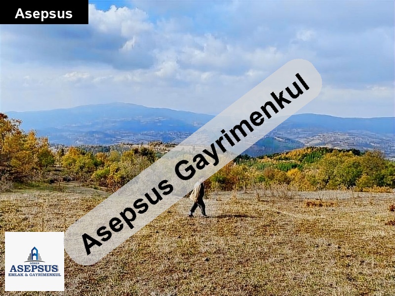 Asepsus Emlak'tan 3+1 ballıçay köyü 'sinde satılık arsa