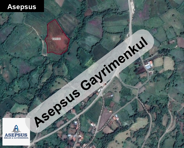Asepsus Emlak'tan 3+1 yeşilköy köyü 'sinde satılık arsa