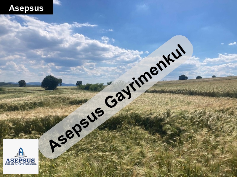 Asepsus Emlak'tan 3+1 sinekçi köyü 'sinde satılık arsa
