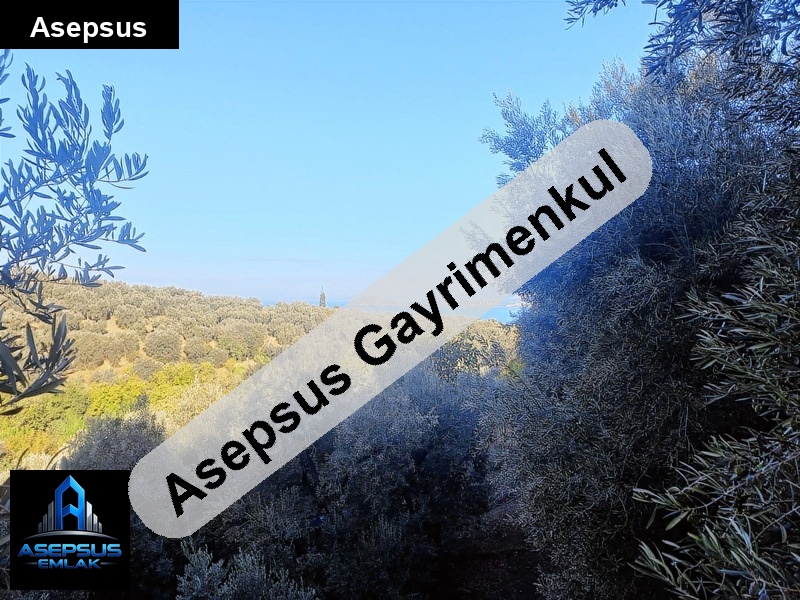 Asepsus Emlak'tan  edincik mh. 'sinde satılık arsa