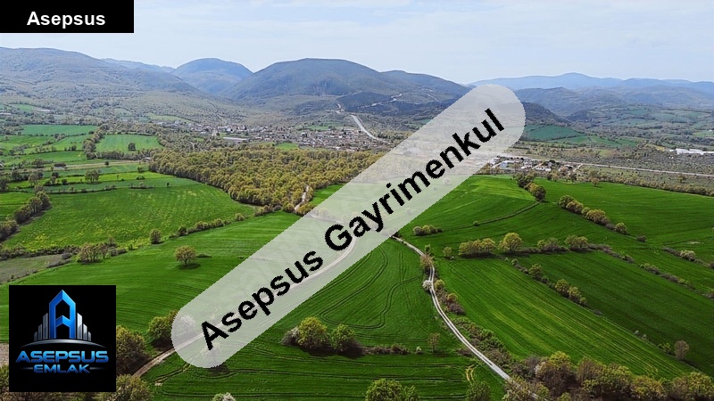 Asepsus Emlak'tan  hacıvelioba mh. 'sinde satılık arsa