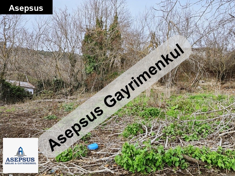 Asepsus Emlak'tan 3+1 yağdıran köyü 'sinde satılık arsa