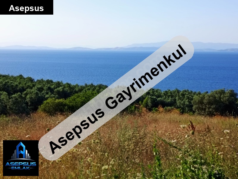 Asepsus Emlak'tan  misakça mh. 'sinde satılık arsa