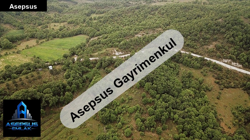 Asepsus Emlak'tan  canbaz mh. 'sinde satılık arsa