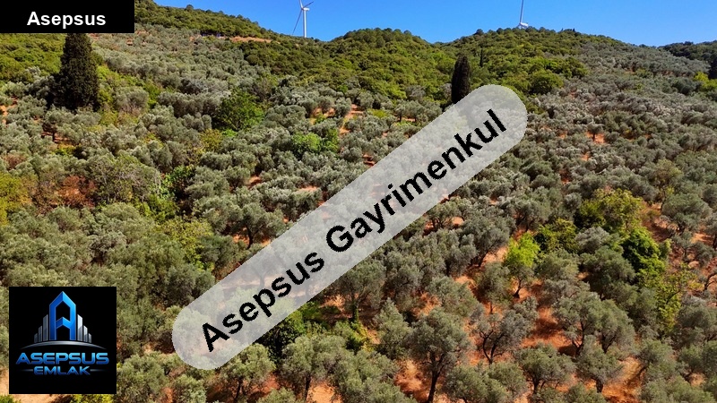 Asepsus Emlak'tan  edincik mh. 'sinde satılık arsa