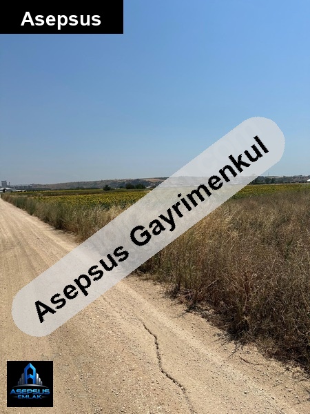 Asepsus Emlak'tan  doğruca mh. 'sinde satılık arsa