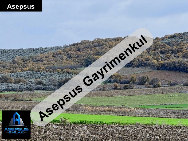 Asepsus Emlak'tan  doğruca mh. 'sinde satılık arsa