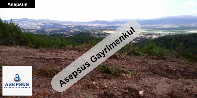 Asepsus Emlak'tan 3+1 umurlar köyü 'sinde satılık arsa
