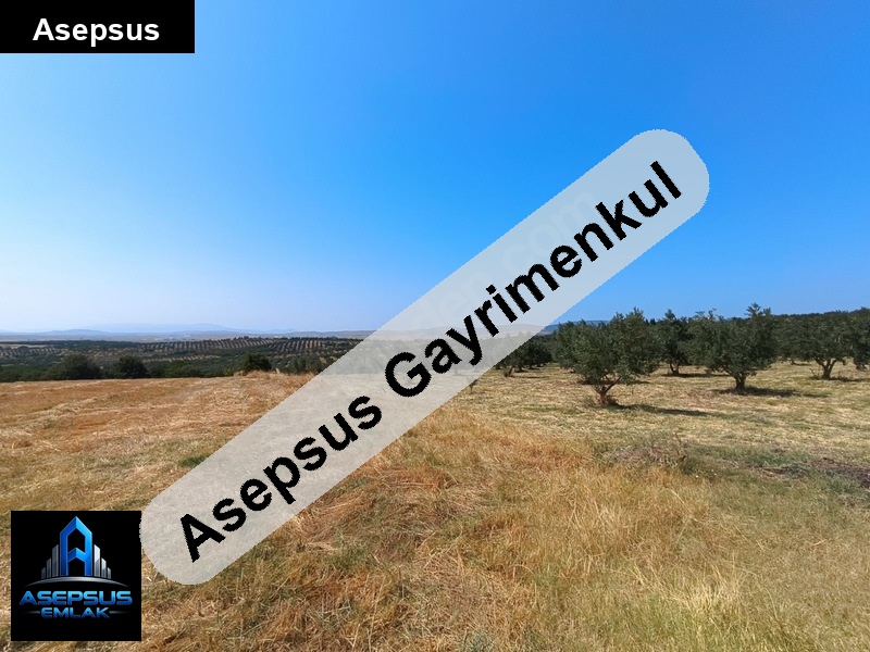 Asepsus Emlak'tan  mahbubeler mh. 'sinde satılık arsa