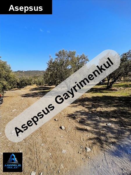 Asepsus Emlak'tan  misakça mh. 'sinde satılık arsa