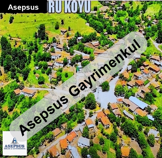 Asepsus Emlak'tan 3+1 karadoru köyü 'sinde satılık arsa