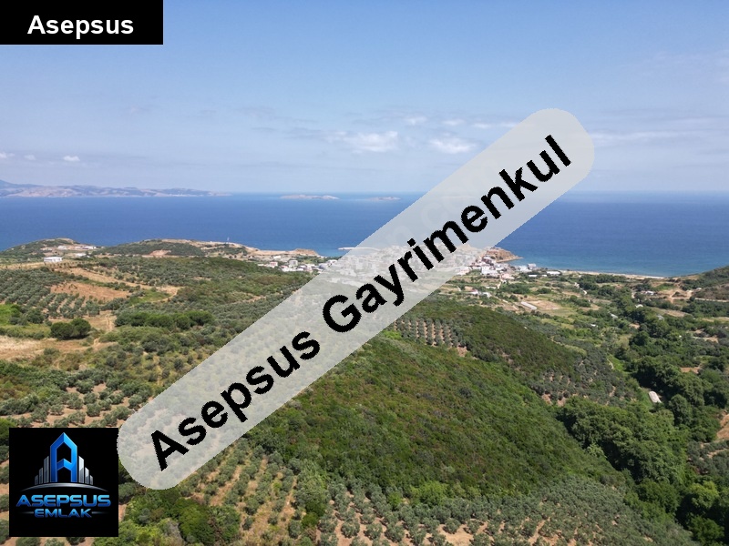 Asepsus Emlak'tan  yenice mh. 'sinde satılık arsa