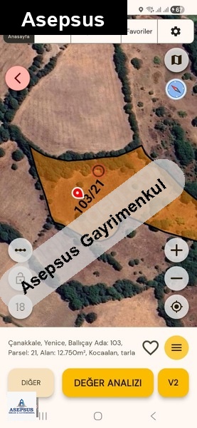 Asepsus Emlak'tan 3+1 ballıçay köyü 'sinde satılık arsa