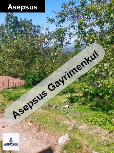 Asepsus Emlak'tan 3+1 suuçtu köyü 'sinde satılık arsa