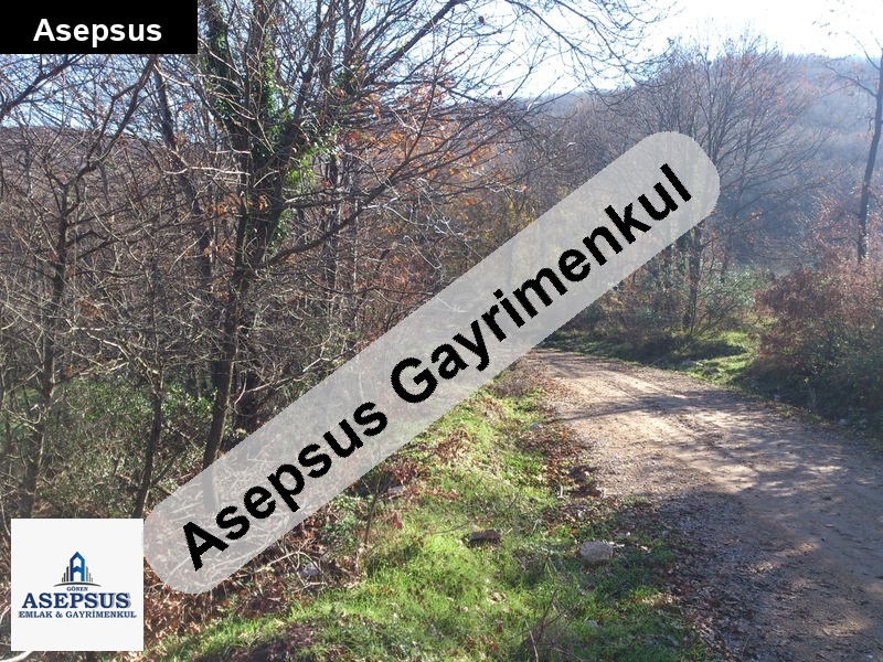 Asepsus Emlak'tan 3+1 sazoba köyü 'sinde satılık arsa