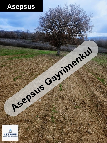 Asepsus Emlak'tan 3+1 araovacık köyü 'sinde satılık arsa