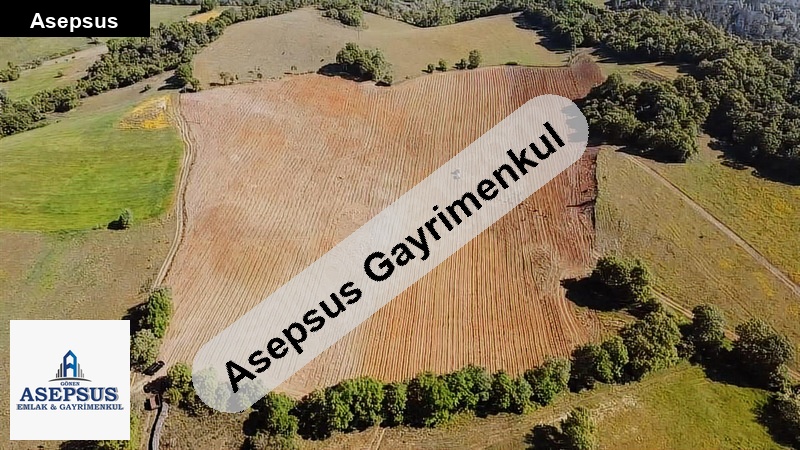 Asepsus Emlak'tan 3+1 sofular köyü 'sinde satılık arsa