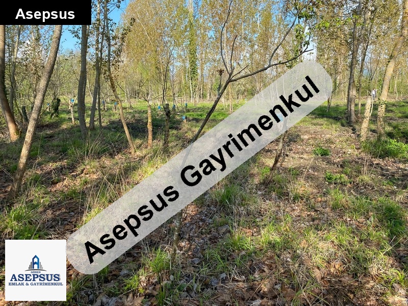 Asepsus Emlak'tan 3+1 örencik köyü 'sinde satılık arsa