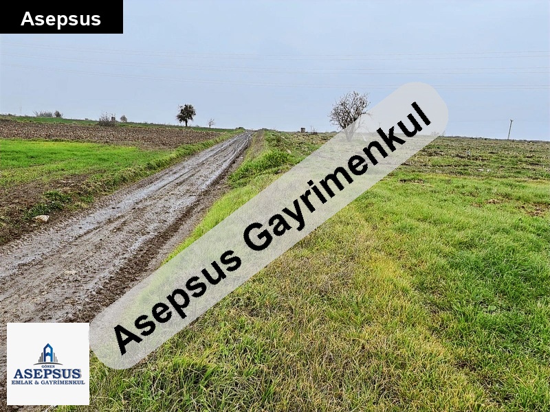 Asepsus Emlak'tan 3+1 balıklıçeşme köyü 'sinde satılık arsa