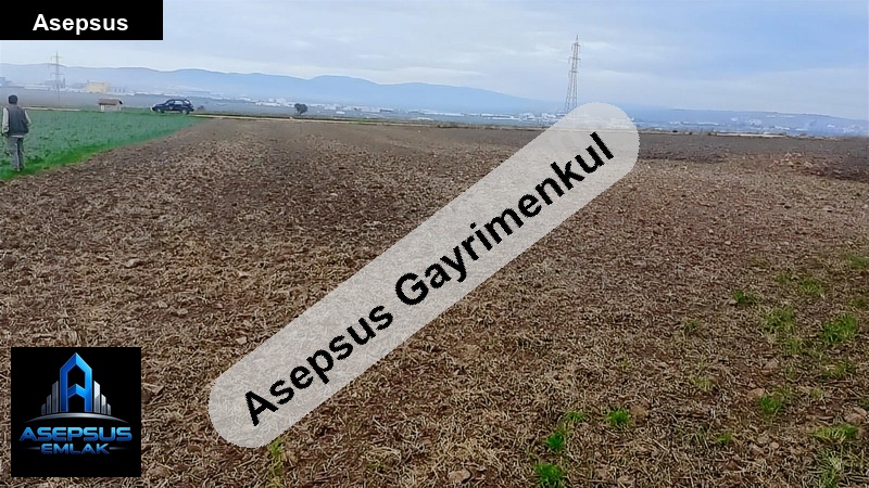 Asepsus Emlak'tan  doğruca mh. 'sinde satılık arsa