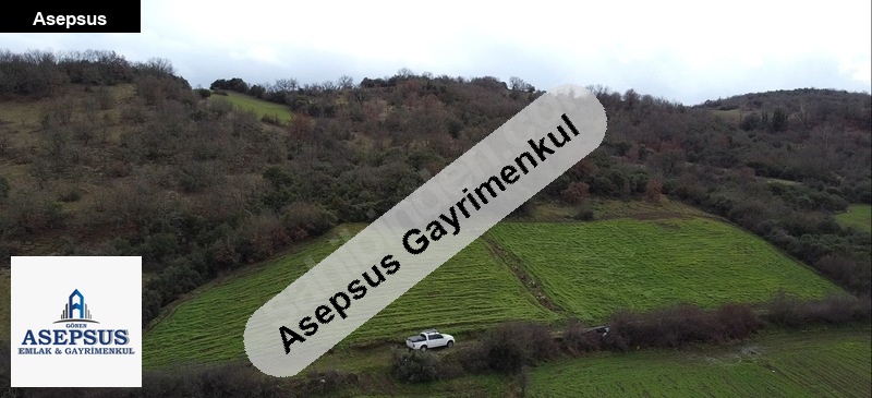 Asepsus Emlak'tan 3+1 çınarcık köyü 'sinde satılık arsa