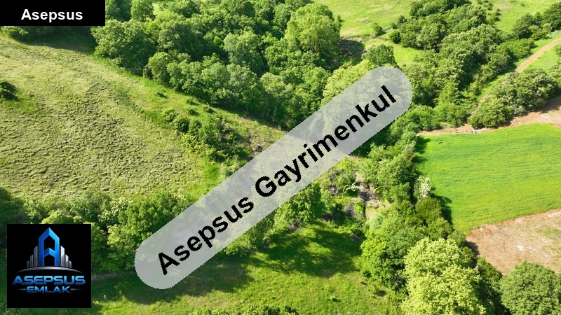 Asepsus Emlak'tan  alaşar mh. 'sinde satılık arsa